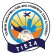 Tourism Infrastructure and Enterprise Zone Authority logo